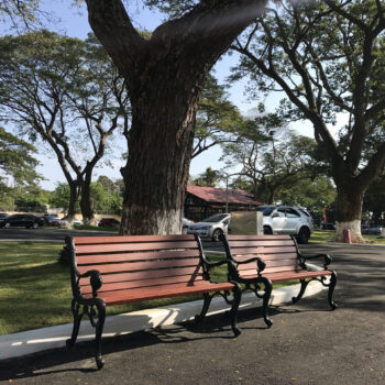 Ghế công viên có tựa đầu rồng H03